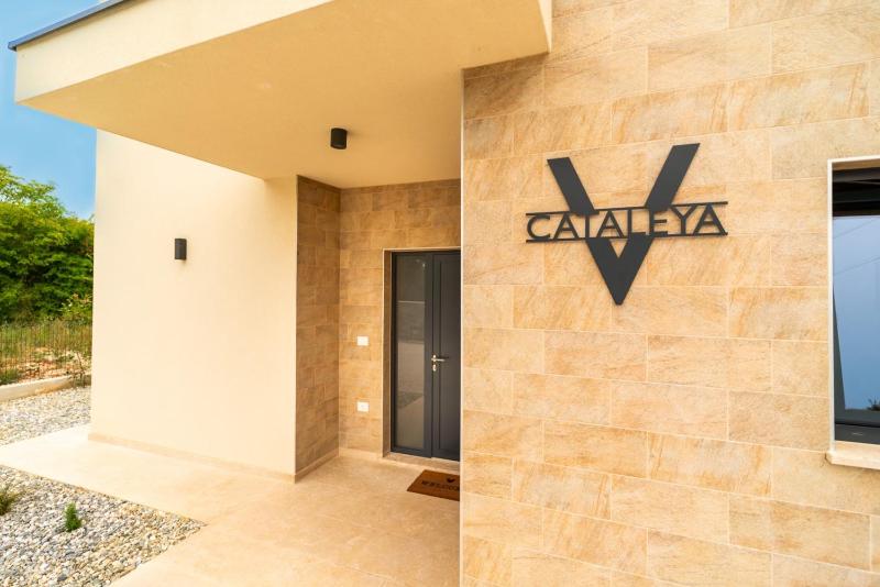Villa Cataleya - image 28