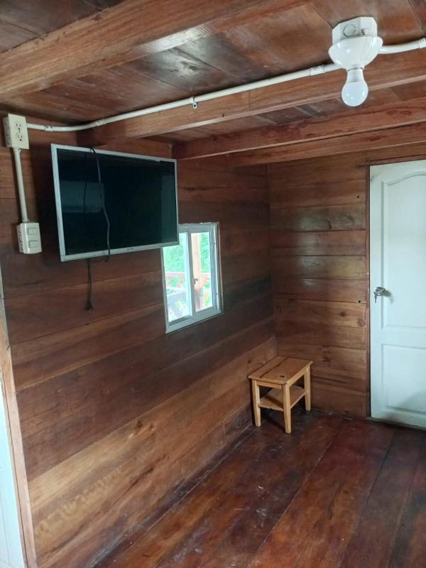 Hospedaje en Olón Casa del Árbol - image 2