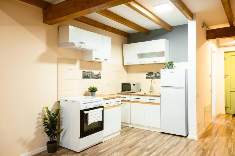 Urban Stay by Timisoara BnB Ap 2 - image 13