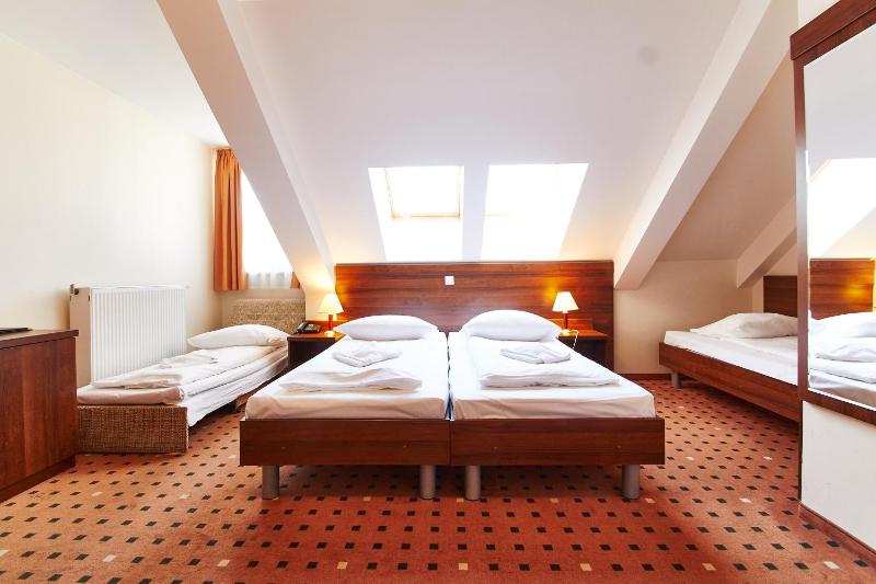 Hotel Europa City - image 16