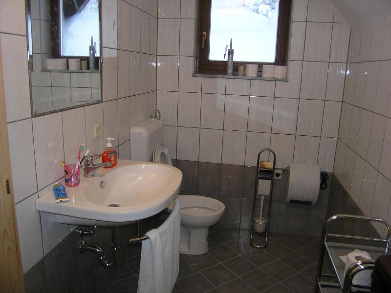 Superior Chalet image 4