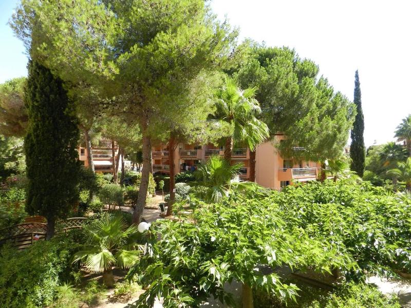 BO240-A09 Appartement Studio 4 couchages BORMES LES MIMOSAS - image 16