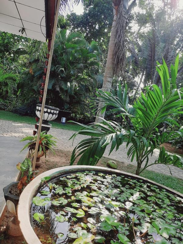 Hidden Paradise - image 9