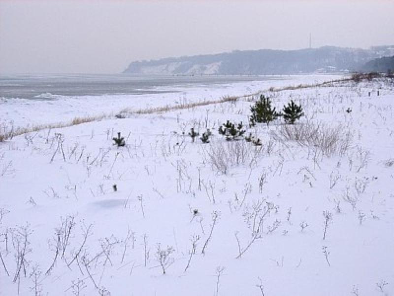 Dünenblick 73a - Baabe - image 9