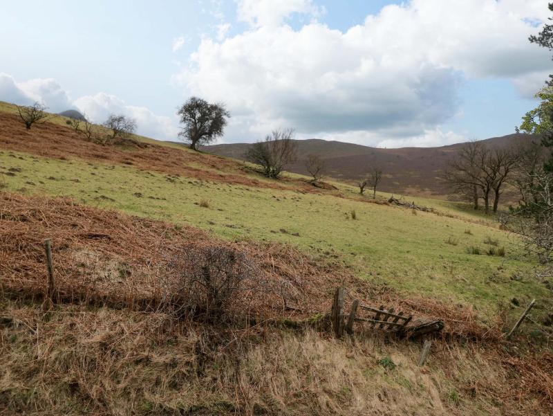 Newlands Fell Cottage - image 6