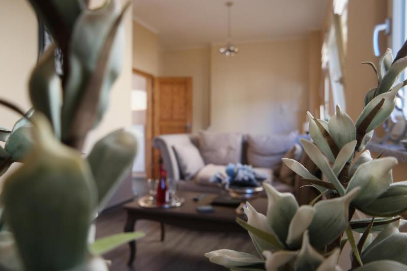 Deluxe Petit Apartment image 3