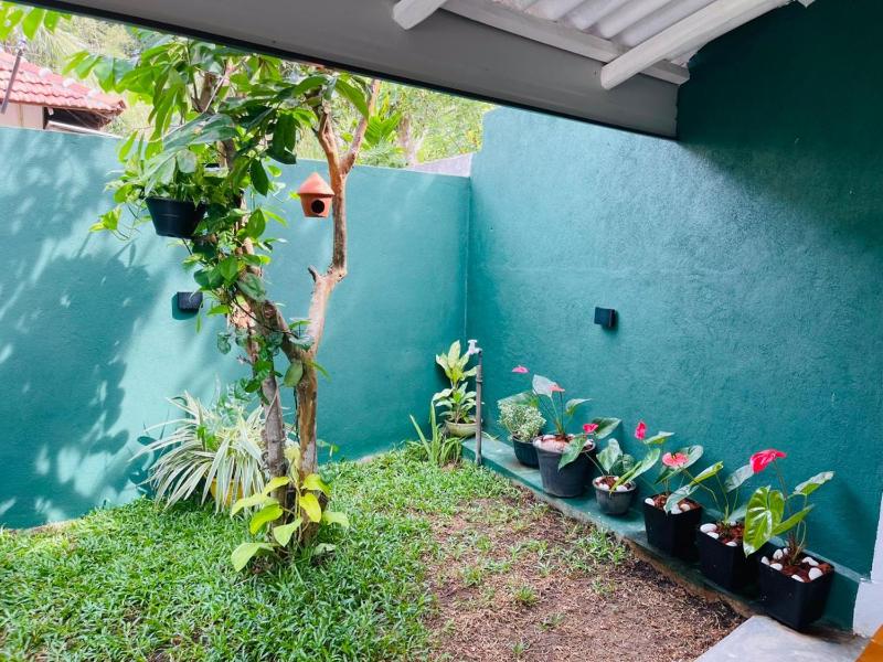 Hasara Homestay - image 7