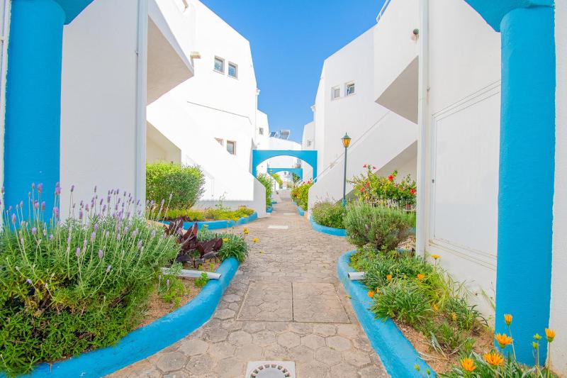 410 Quinta do Paraiso - image 37