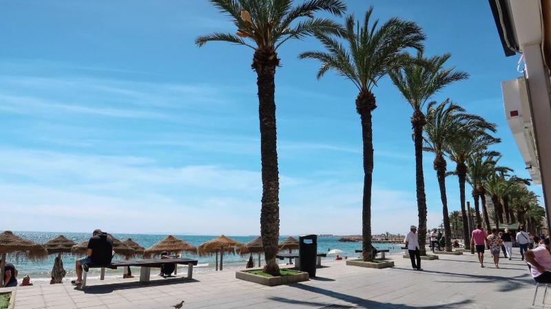 Torreviejar with garage and pool - image 10