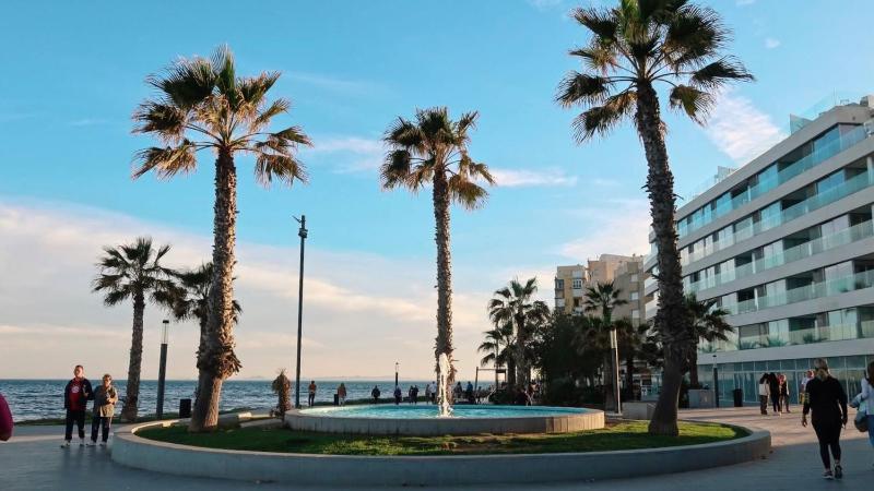 Torreviejar with garage and pool - image 11