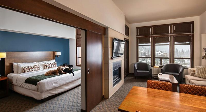 Evolution Whistler by Lodging Ovations - image 33