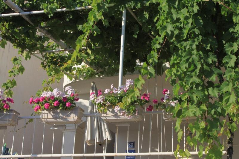 Apartments by the sea Podgora Makarska - 6596 - image 23