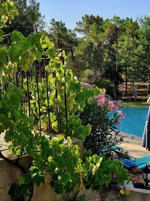 Villa avec piscine à débordement - sans vis à vis - image 7