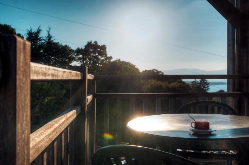One Bedroom Apartment with Lake View image 2