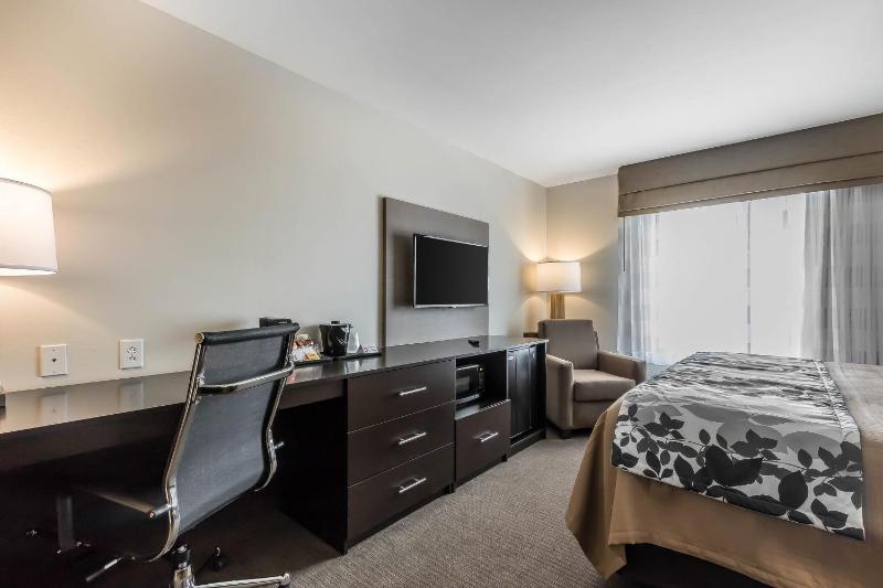 King Room - Non-Smoking image 2