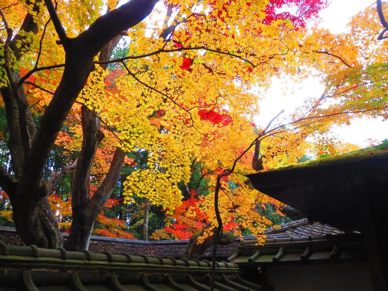Murasakino Guesthouse - image 15