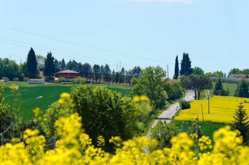 Il Giardino di Matilde - image 44