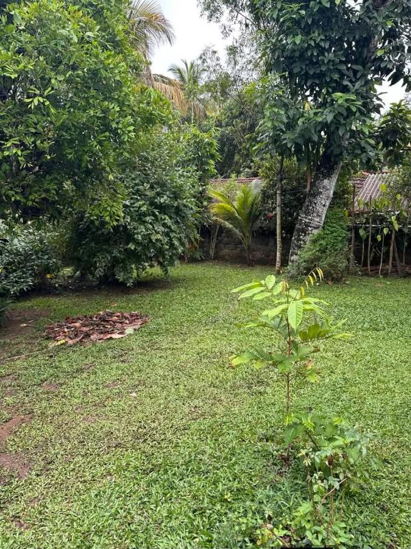R BackPacker Hostel - image 9