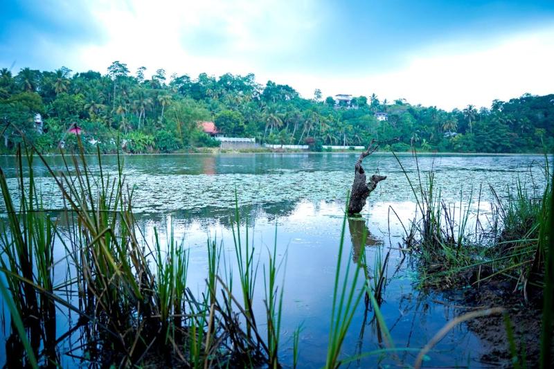 Jayaweera Eco Resort - image 11
