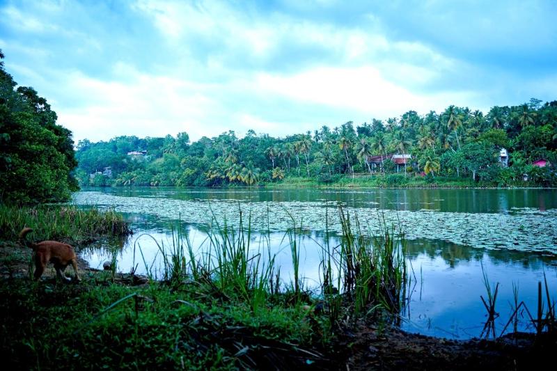 Jayaweera Eco Resort - image 6