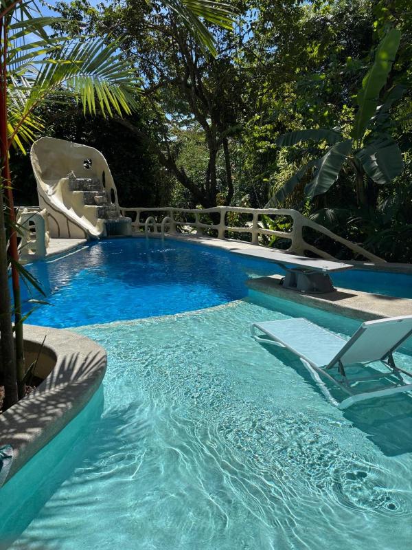 Casa Vida Verde - image 13