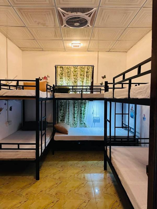 R BackPacker Hostel - image 8