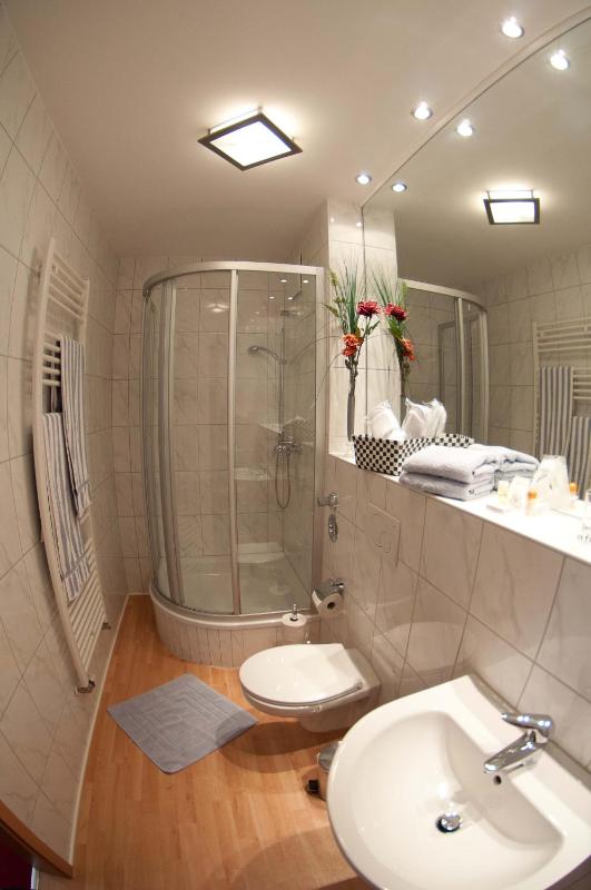 One-Bedroom Apartment image 4
