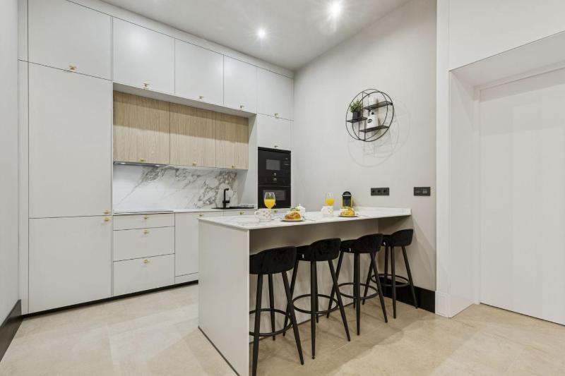 Elegant 2BR Apartment in Conde Duque - image 15