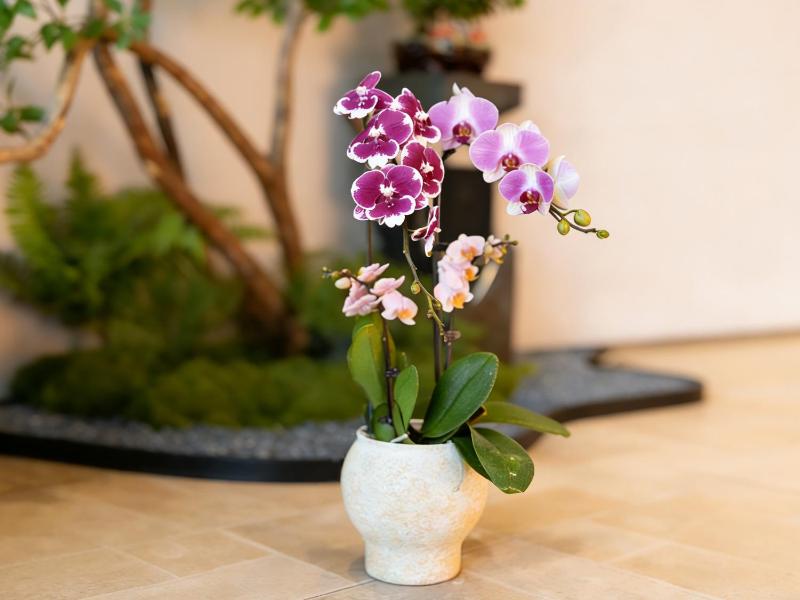 Leaf Hotel Qingdao Golden Sand Beach - image 17