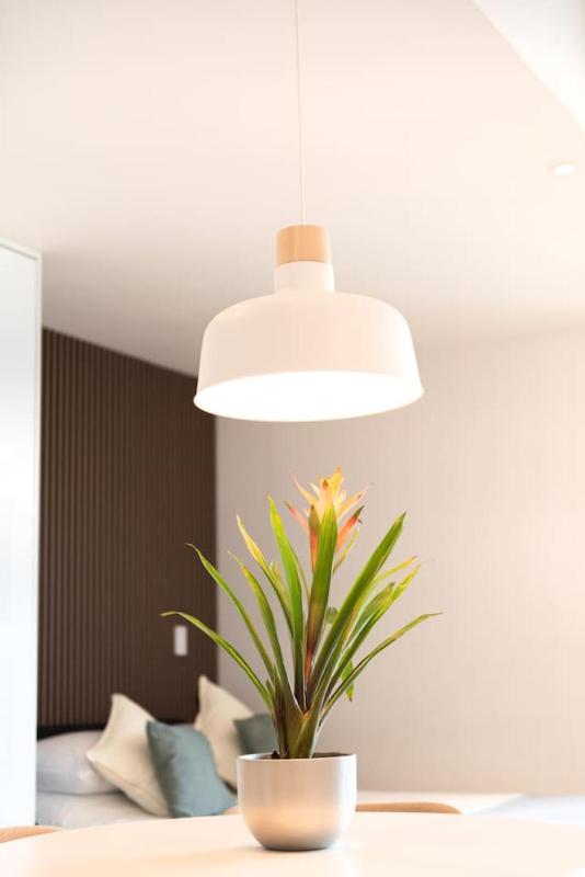 Amazing Loft Roma Nte with AC and Rooftop - image 21