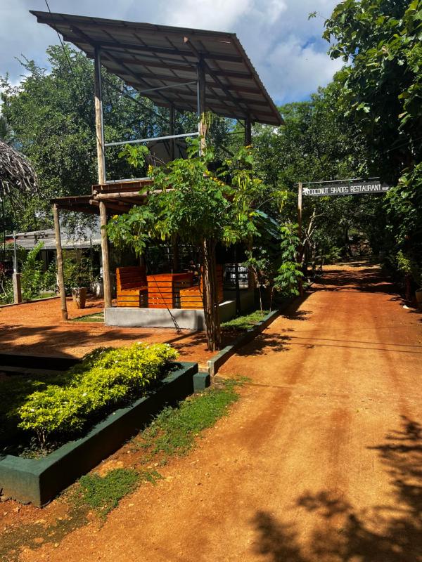 Sigiriya Coconut Shade Resort - image 12