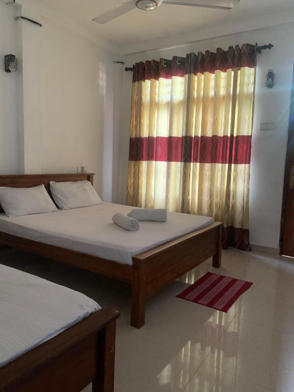 New Papa Palace - image 4