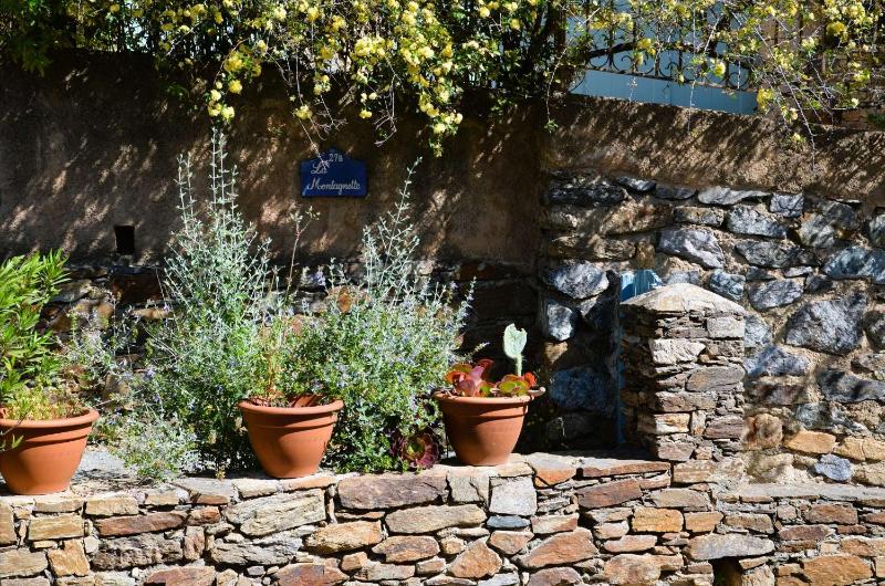 Grilaf - Appartement pour 4 personnes au cœur du village de Grimaud - image 9