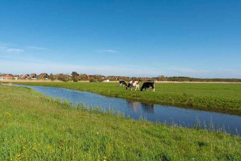 De Buitenplaats 42 - image 4