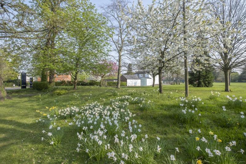 Charming Two Bedroom Apartment in Fairview - image 36