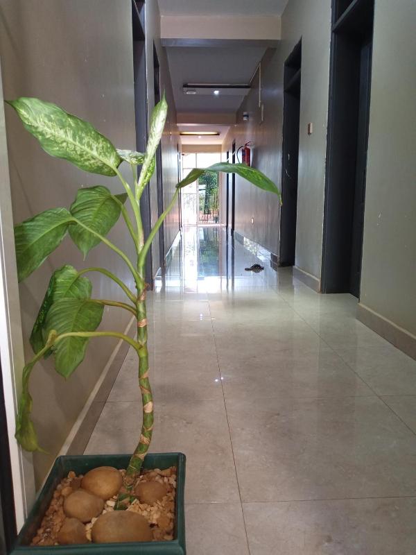 Icon Hotel - image 16