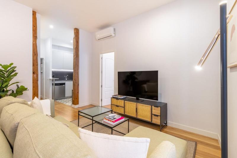 Charming Apartment in the Heart of Las Letras - image 9