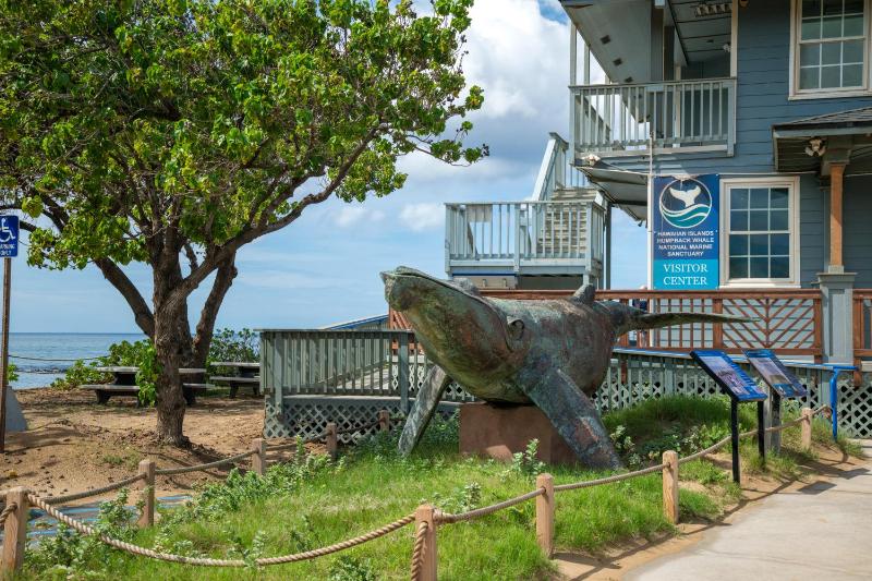 Kihei Bay Surf B212 - image 23