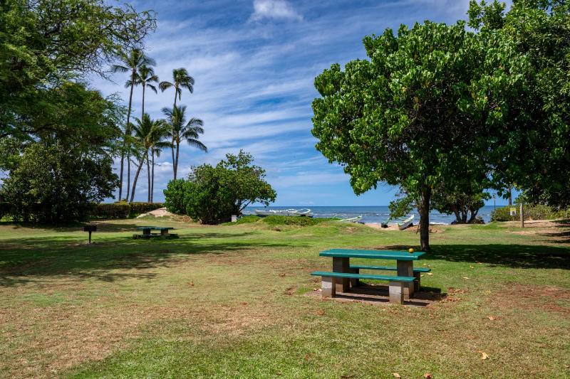 Kihei Bay Surf B212 - image 13
