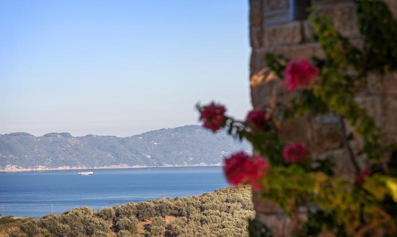 Olivia's Villas of Luxury - image 16