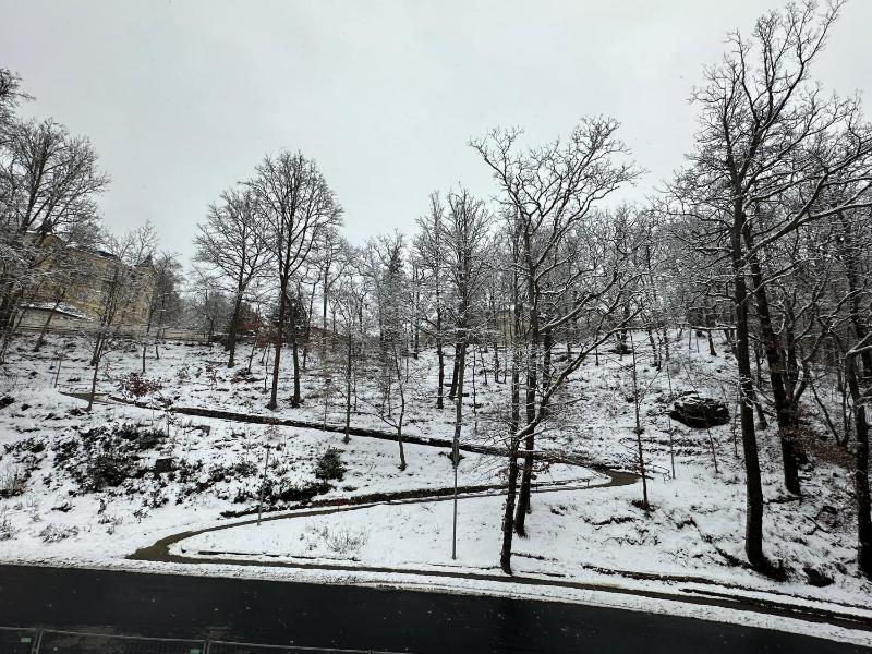 Slunecni Lazne Apartments - image 21