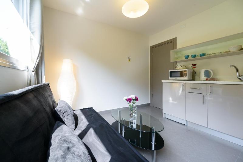 One-Bedroom Apartment image 1