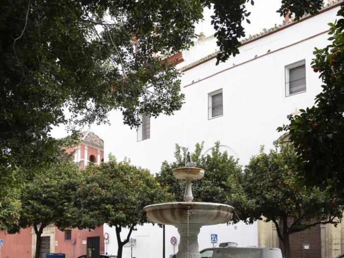 San Leandro ático - image 6