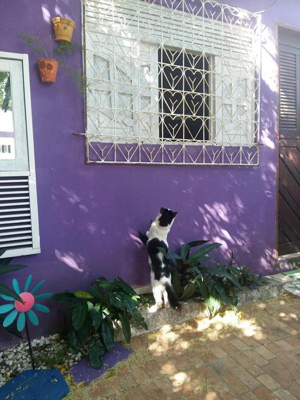Hostel Margo House - image 1
