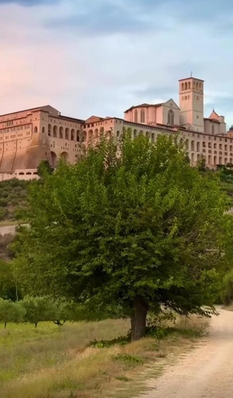 Locazione Turistica Santa Chiara - image 5
