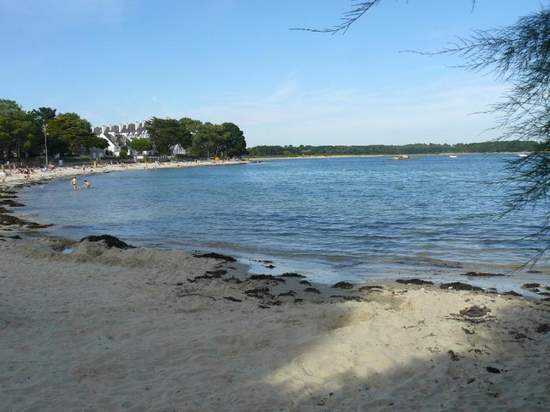 CHAL HA DICHAL - Villa Jardin Plage 50m - S26 - image 10