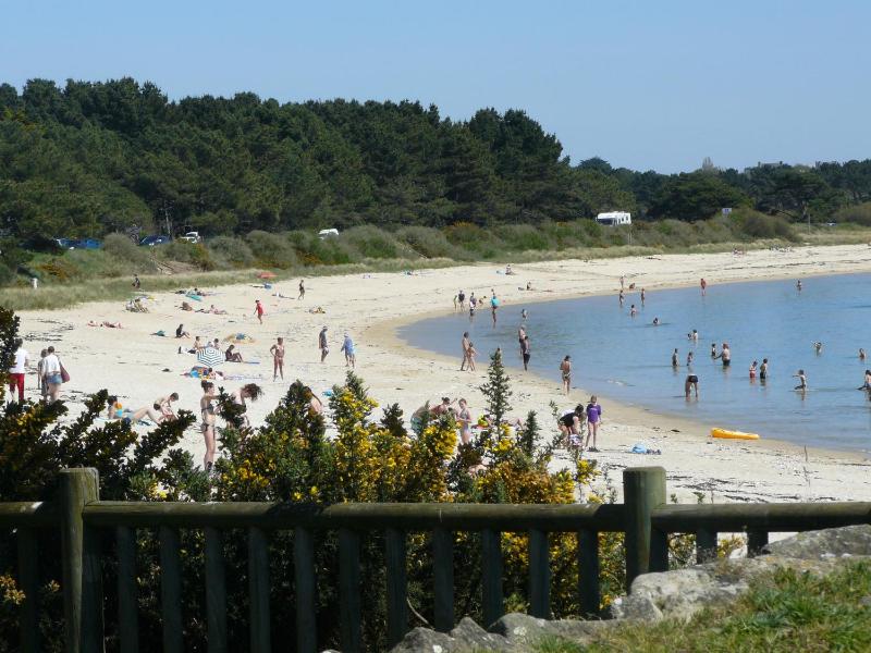 CHAL HA DICHAL - Villa Jardin Plage 50m - S26 - image 17