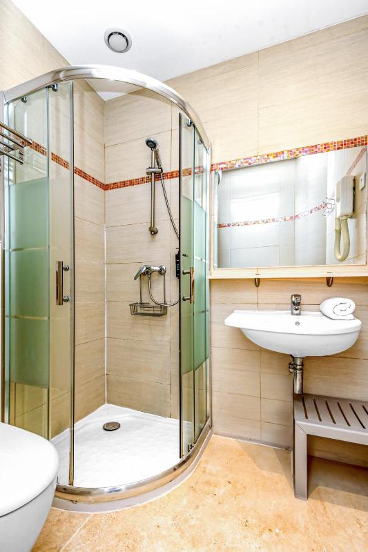 Hotel Parisien - image 33