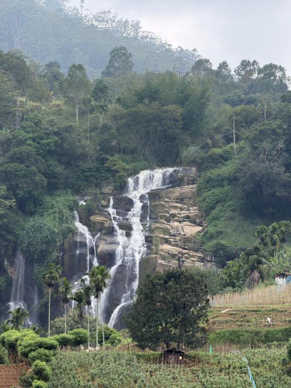 Elysium Homestay Ella - image 31