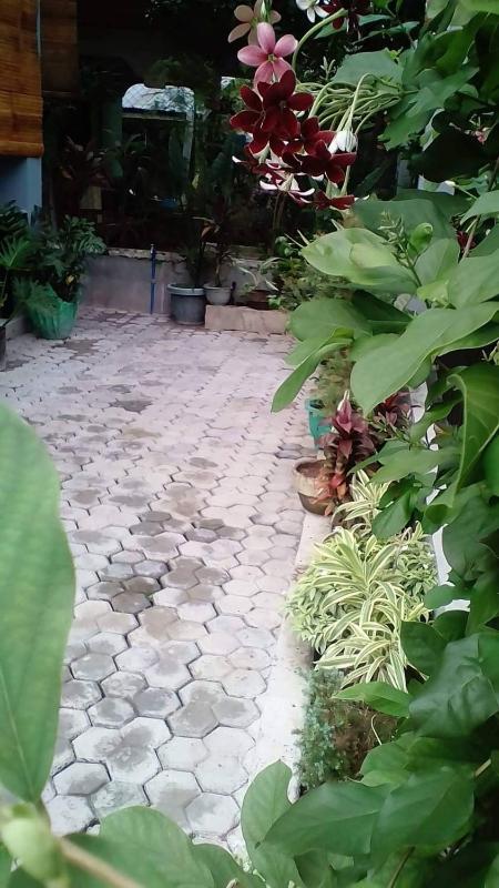 A Unique and Cozy WholeHouse in Babak Samal Island - image 42